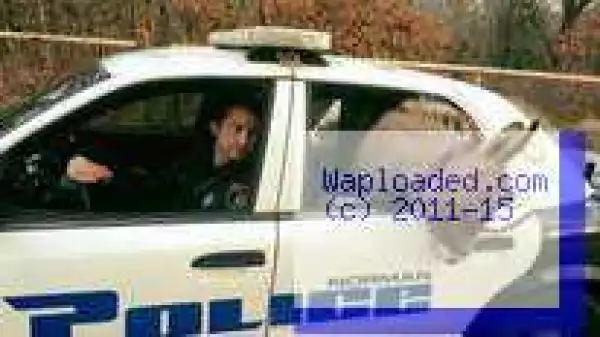 Police Give Donkey A Lift In Patrol Car